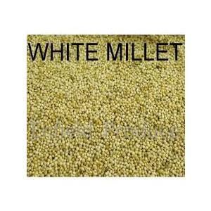 White French Millet, Size: 1kg