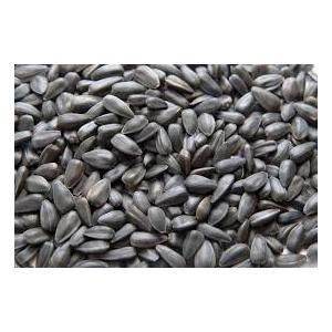 Black Sunflower Seed, Size: 1kg