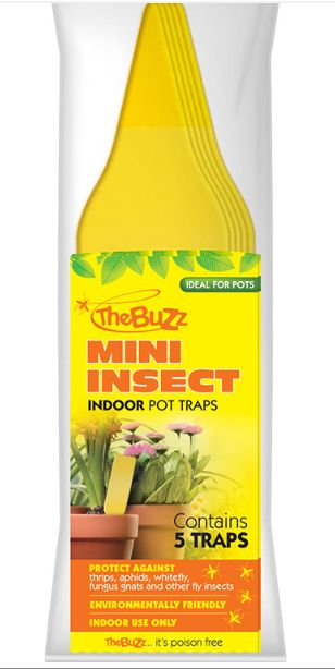 Buzz Mini Insect Traps 5pk