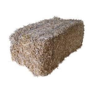 Pea Straw Bale