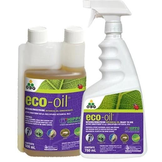 Eco Oil Hippo - 500ml