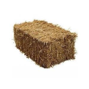 Bedding Straw Bale