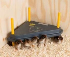 Chick Heating Plate Triangle 30cm