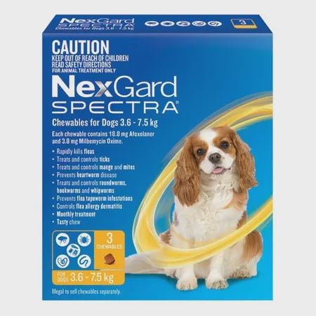 Nexgard Spectra Chewables for Dogs, Size: 3pk, Type: Yellow 3.6-7.5kg