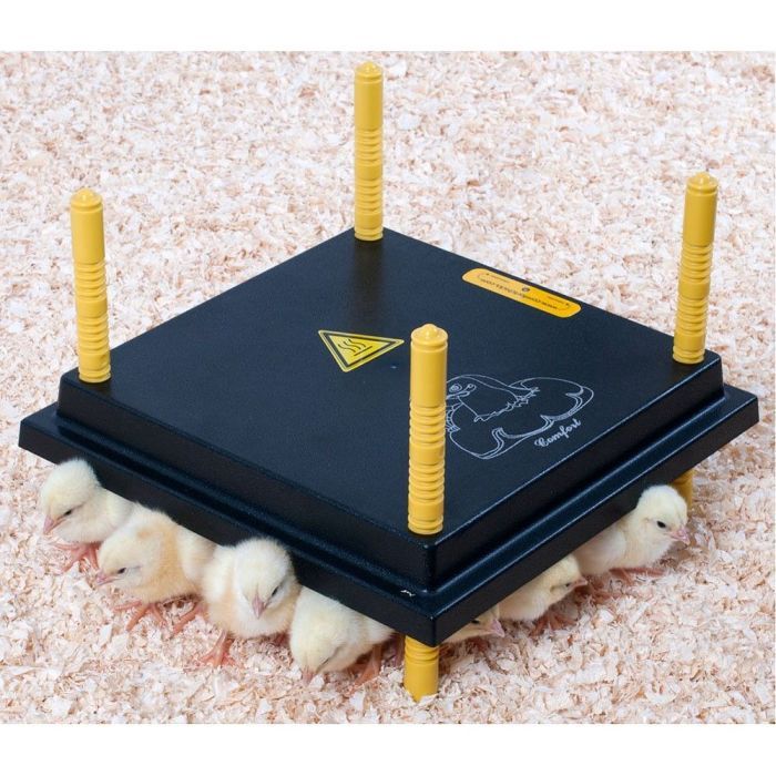 Chick Heating Plate 25cm x 25cm