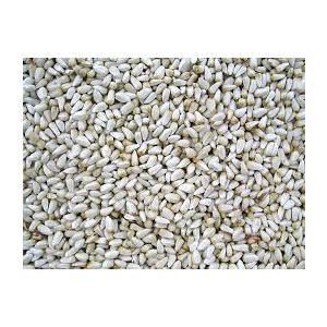 Safflower