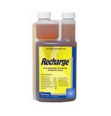 Recharge Horse 1L
