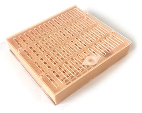 Queen Rearing kit Queen Caps