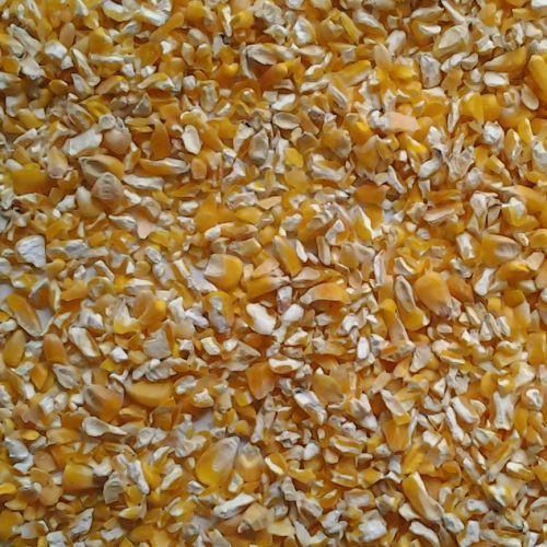Crushed Corn/Maize, Size: 1kg