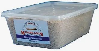 Live Mealworms 100g Tub