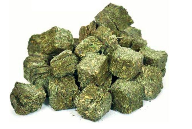 Lucerne &amp; Oaten Treat Blocks/Cubes, Size: 500g