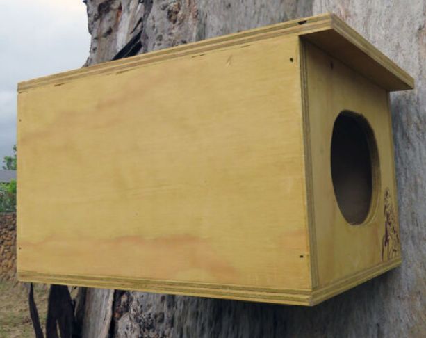 Kookaburra Nesting Box
