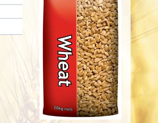 Laucke Wheat, Size: 1kg