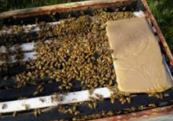Bee Pollen Pattie approx. 550g