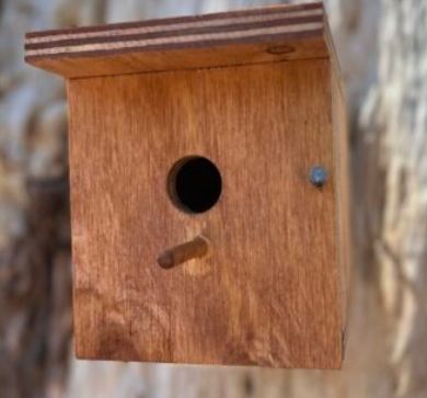 Pardalote Nesting Box