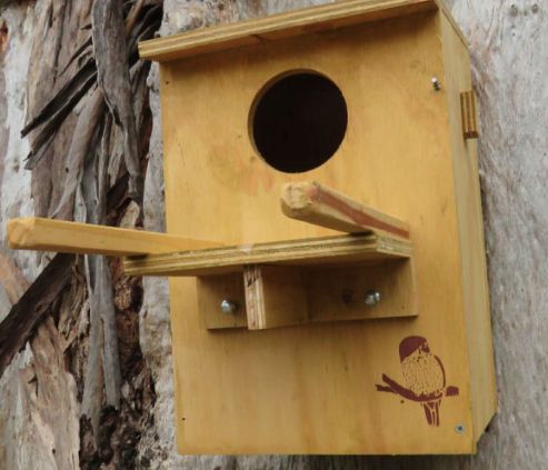 Boobook Owl Nesting Box