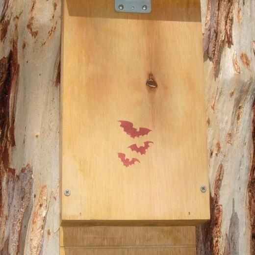 Bat Nesting Box, Size: Bat Box