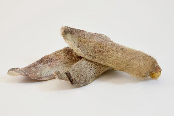 Woolly Lamb Ears - 10 Pack