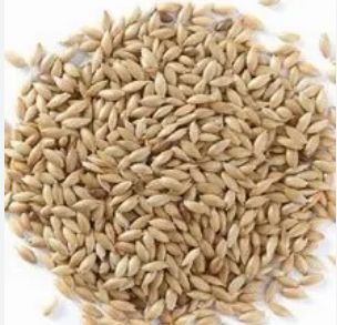 Canary Seed, Size: 1kg