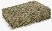Hay Biscuit, Type: Oaten