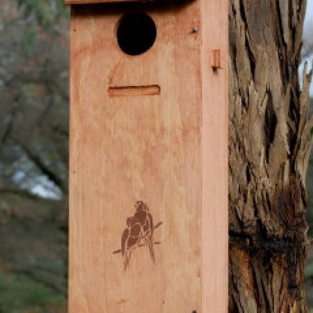 Parrot Nesting Box, Size: large parrot