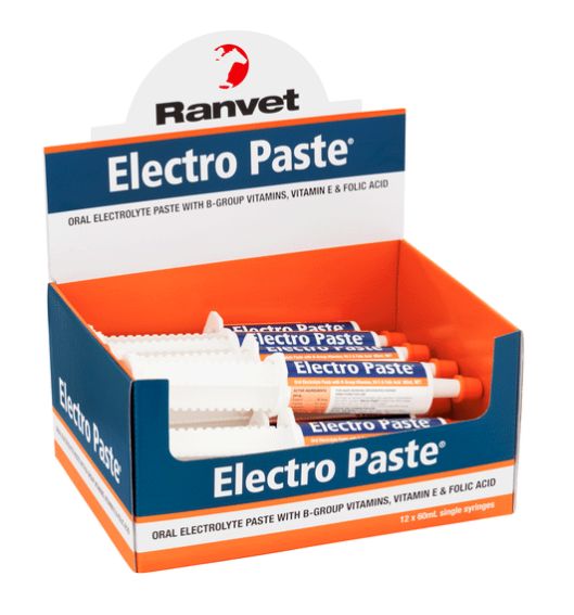 Electro Paste -  Electrolyte paste