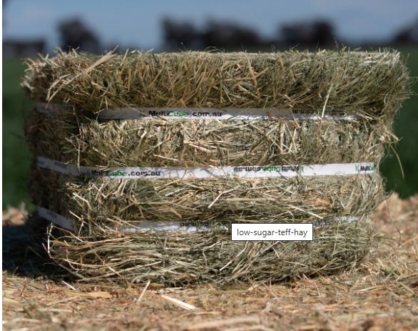 TEFF - Compressed Bale