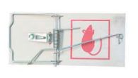 Greenleaf Large Rat Trap
