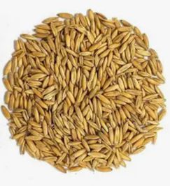 Feed Oats, Size: 1kg