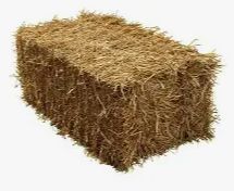 Wheaten Hay Bale