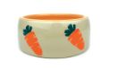 Ceramic Carrot Bowl