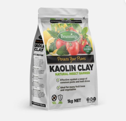Brunnings Kaolin Clay 1kg