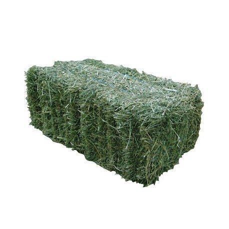 Lucerne Hay Bale