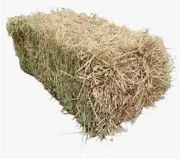 Oaten Hay Bale
