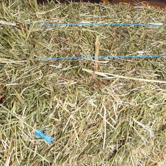 Meadow Hay Bale