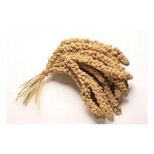 Millet Sprays, Size: 500g