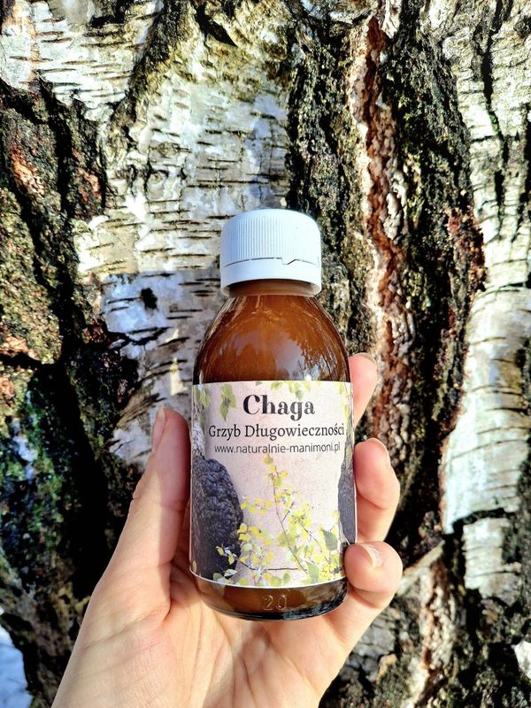 Grzyb długowieczności