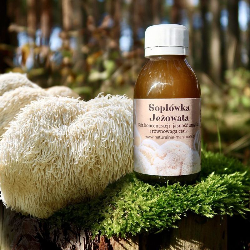 Soplówka jeżowata siła koncentracji, jasność umysłu 100 ml