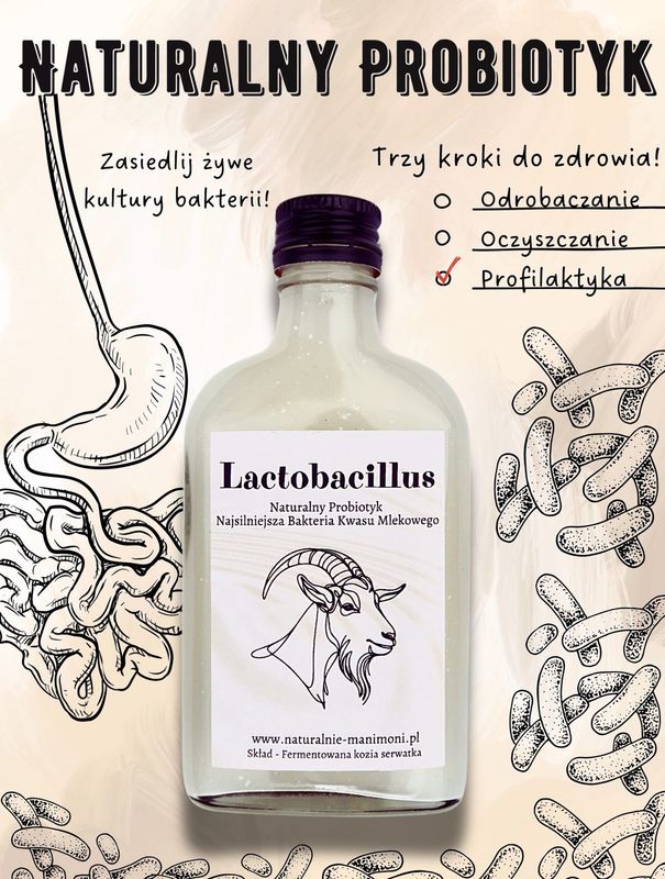 Lactobacillus - naturalny probiotyk 200 ml