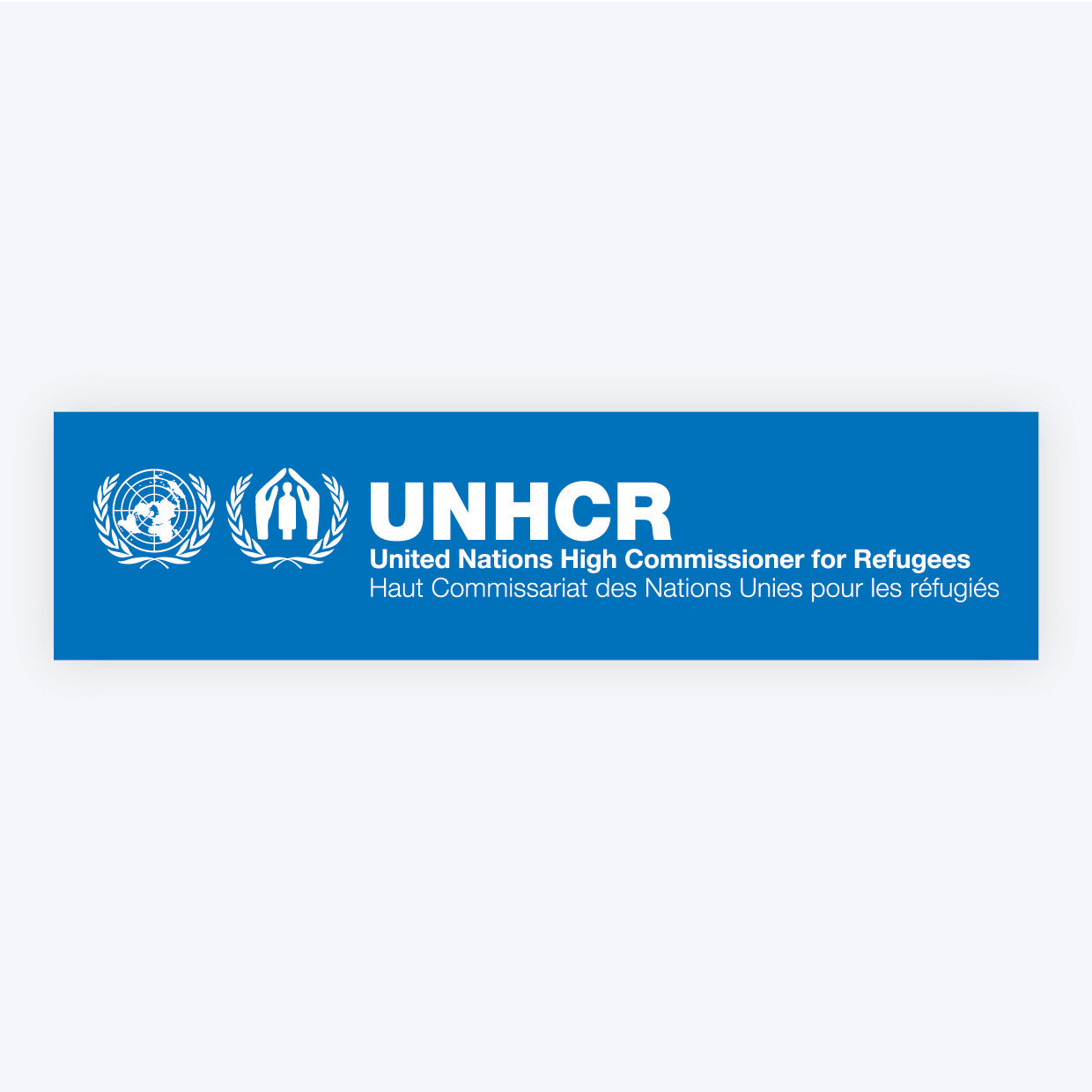 Official horizontal logo sticker - 5x20 cm