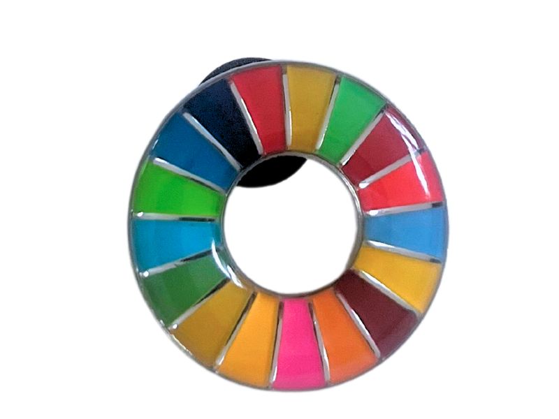 SDG Wheel Lapel Pin