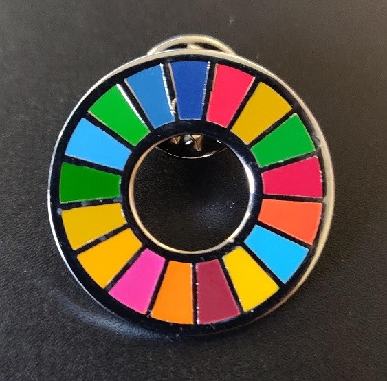 Un sdg pin