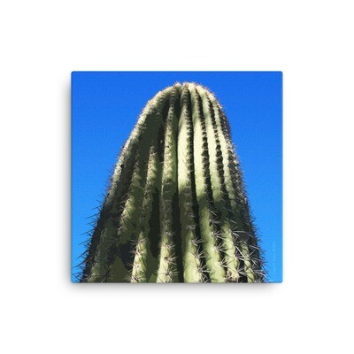 Young Saguaro california dessert print canvas