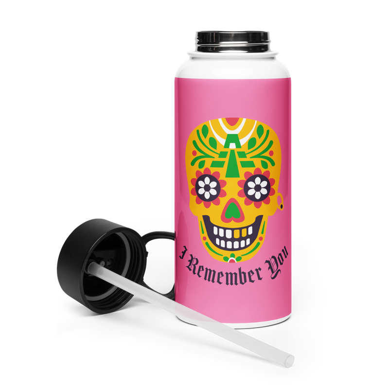 Day of The Stainless steel water bottle with a straw lid