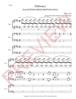 Digital Sheet Music - Pathways (Arranged for 3 Harps) (Connor Chee)