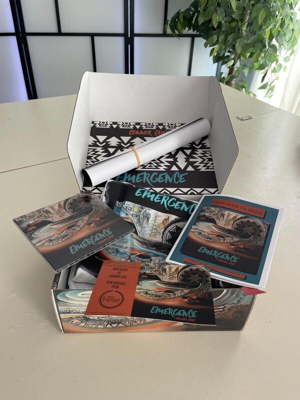 VIP Box - EMERGENCE - Connor Chee
