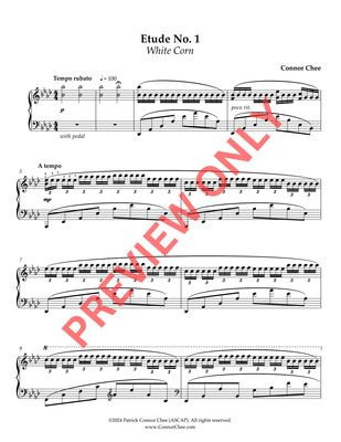 Digital Sheet Music - Sixteen Etudes for Piano (Connor Chee)