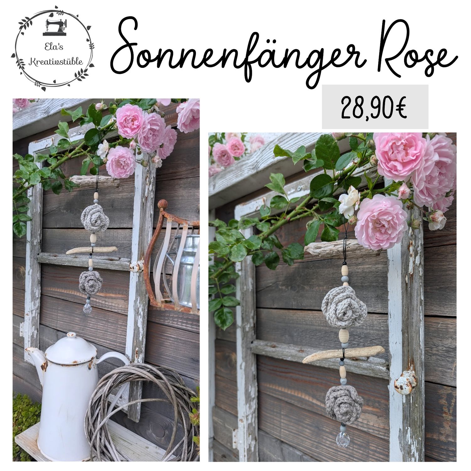 Sonnenfänger Rose