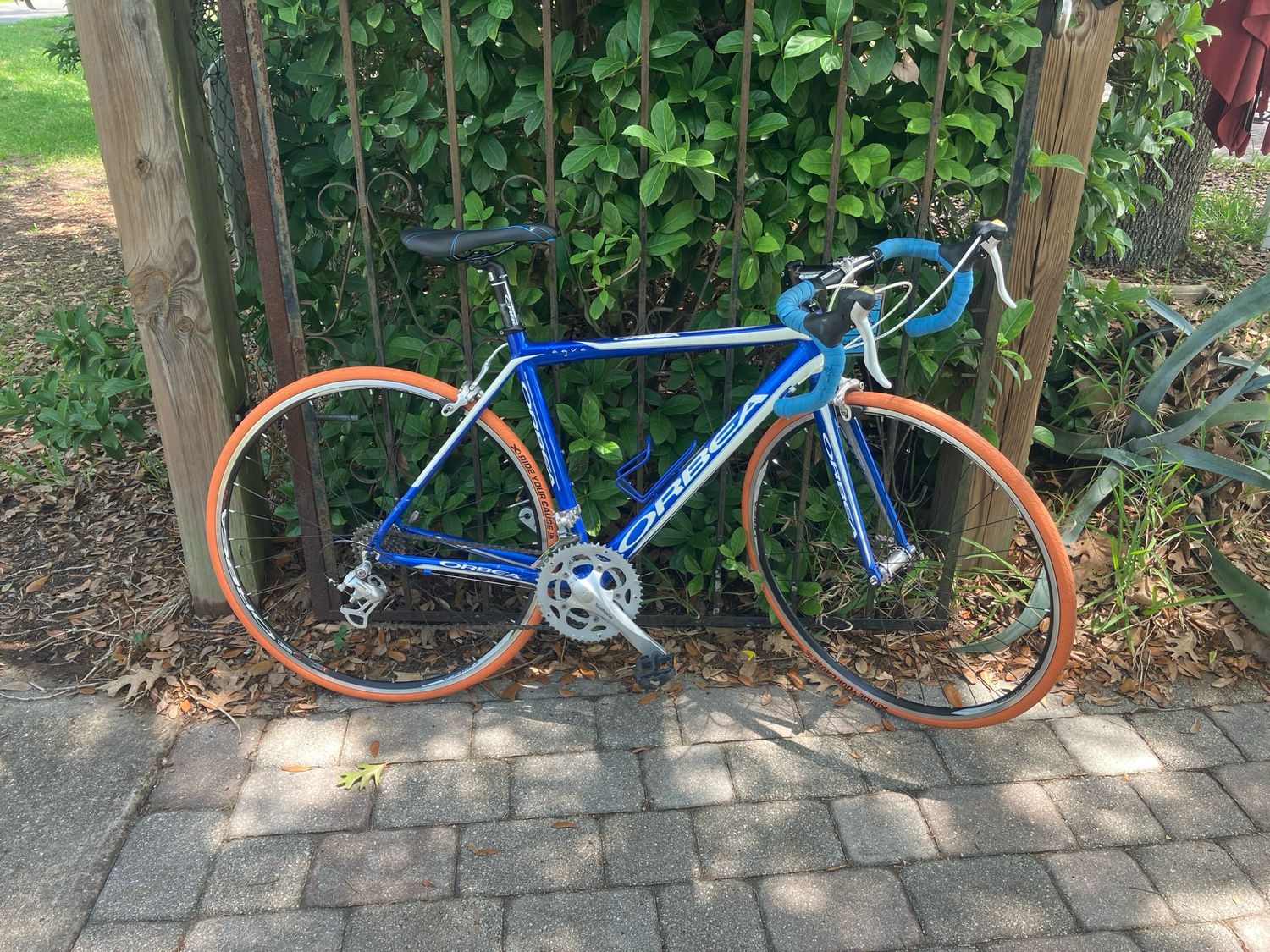 Orbea Roadbike