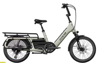 Abound LR Ebike - Sage